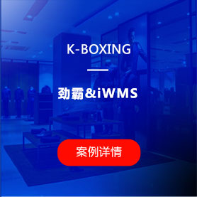 wms仓库管理软件